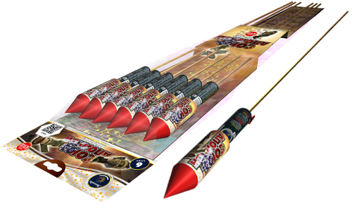  Ракеты Союз-Аполлон  в Бийске